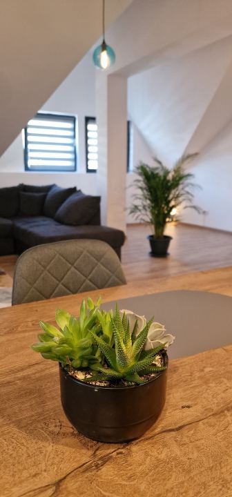 Apartament 9
