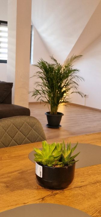 Apartament 9